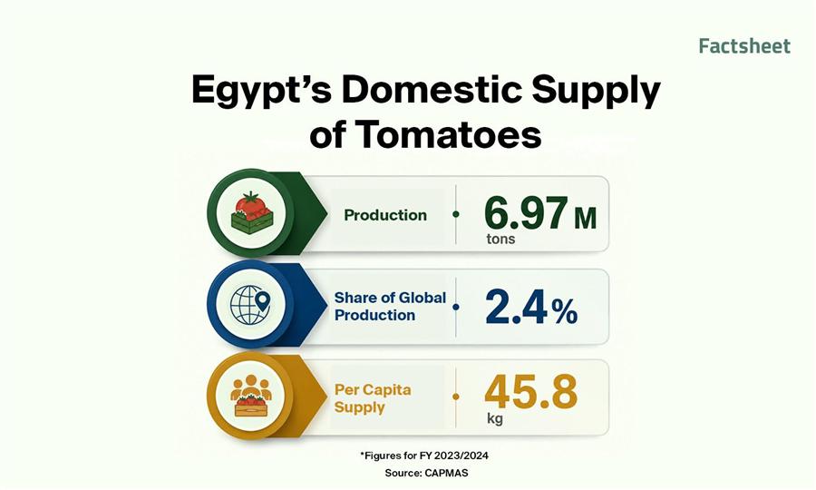 Beyond the Price Spike: The Economics of Tomatoes in Egypt